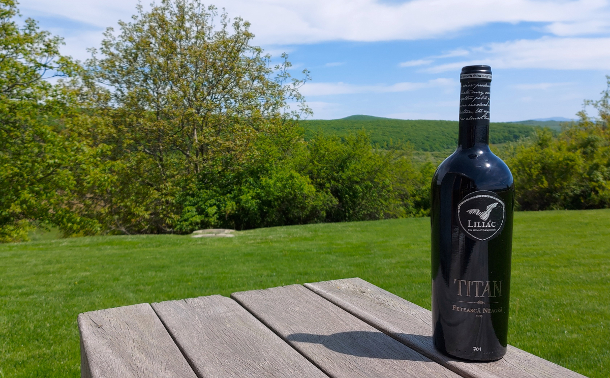 Vineyard Dealu Mare